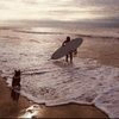 Dominika  is looking for a Room / Apartment in Gent