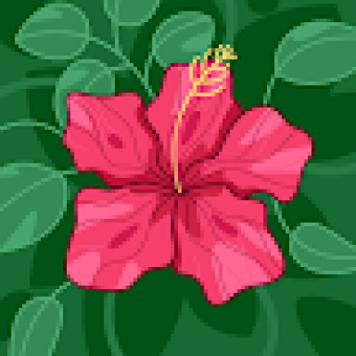 Marthe  zoekt een Kamer in Gent